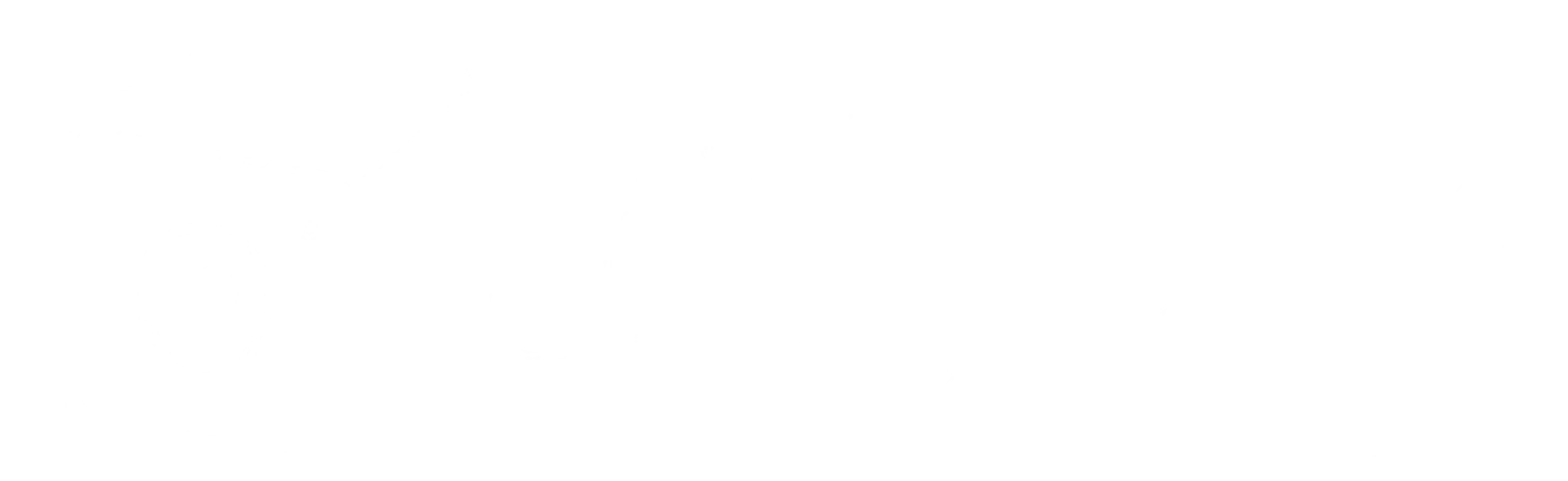 Little Snitch Time Lapse